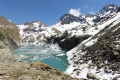 IMG_0184
