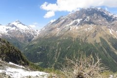 IMG_0199