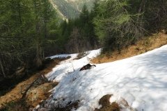 IMG_0209