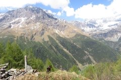 IMG_0225