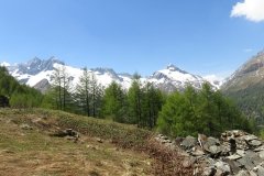 IMG_0226