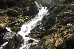 IMG_0229