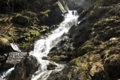 IMG_0230