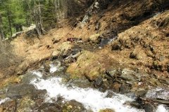 IMG_0231