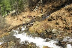 IMG_0232