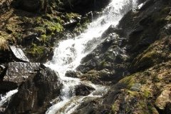 IMG_0233