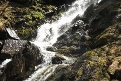 IMG_0235