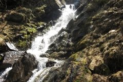 IMG_0236