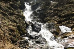 IMG_0237