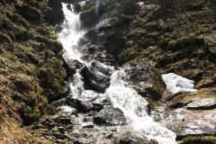 IMG_0239