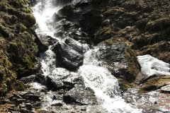 IMG_0240