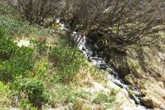 IMG_0245