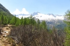 IMG_0247