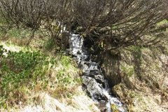 IMG_0251