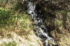 IMG_0252