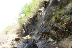 IMG_0256