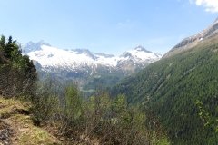 IMG_0258