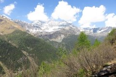 IMG_0259