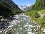 IMG_0007