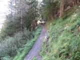IMG_0009