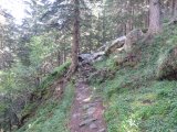 IMG_0012