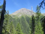 IMG_0013