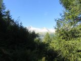 IMG_0016
