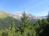 IMG_0020