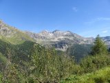 IMG_0038