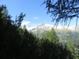 IMG_0039