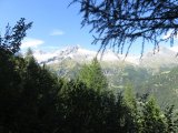 IMG_0042