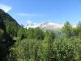 IMG_0044
