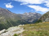 IMG_0101