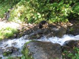 IMG_0167