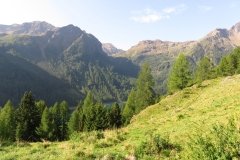 IMG_0011