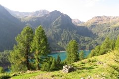 IMG_0015