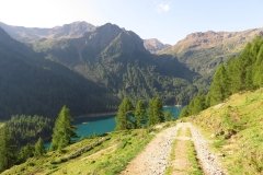 IMG_0017