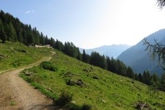 IMG_0022