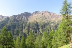 IMG_0031