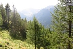 IMG_0034