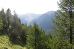 IMG_0035