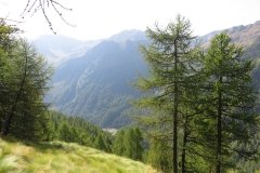 IMG_0039