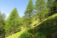 IMG_0042
