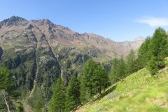 IMG_0045