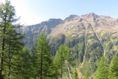 IMG_0047