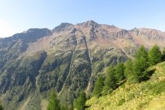 IMG_0058