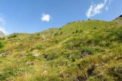 IMG_0063