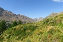 IMG_0065