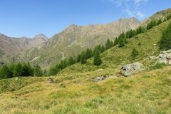 IMG_0068