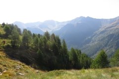 IMG_0069